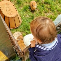 Juliette cherche une nounou à Mirabel-aux-Baronnies